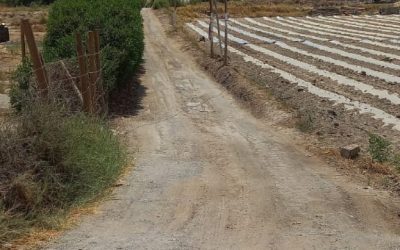 (VENDIDO)Venta Terreno Valle de Lluta KM15 – Cultivable