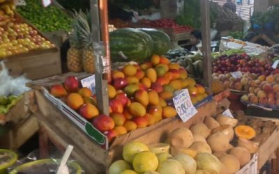 Venta  4 Locales Comerciales Super Agro Santa María